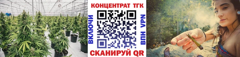ТГК THC oil  Каргат 